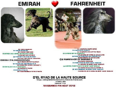 D'el Ryad De La Haute Source - MARIAGE EMIRAH X FAHRENHEIT